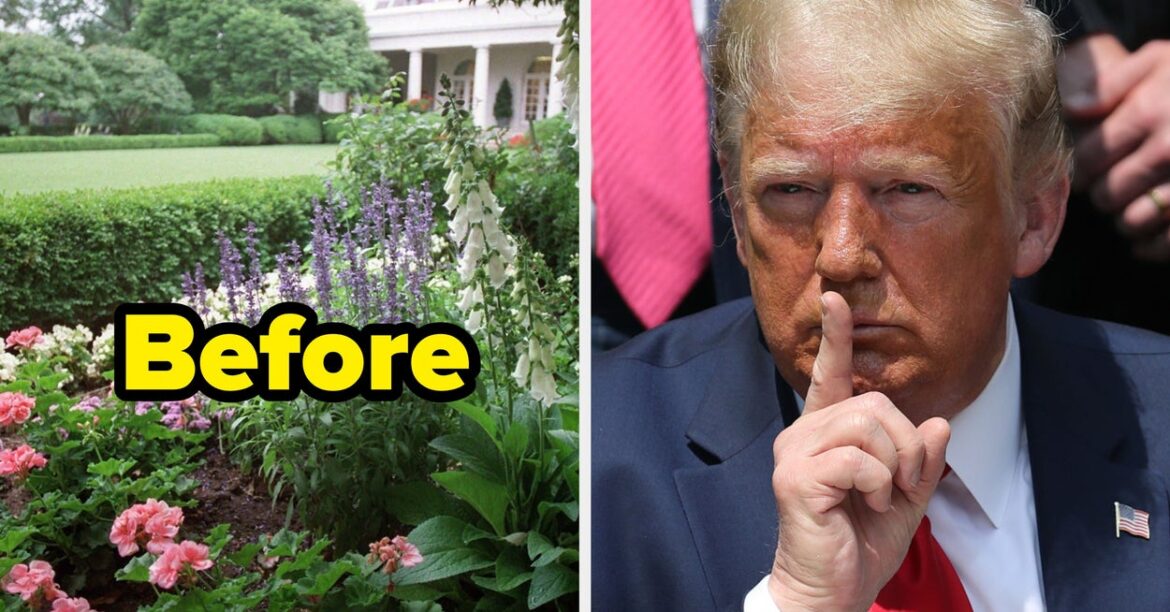 This Before And After Picture Of The White House Rose Garden Is Going Viral