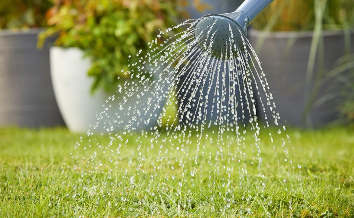 Lawns the focus of free gardening workshop in Shenstone Lawns the focus of free gardening workshop in Shenstone