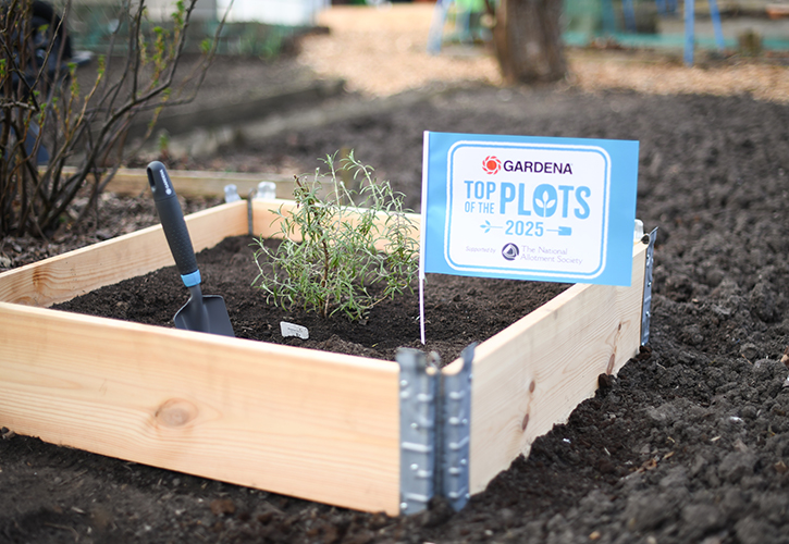 https://www.allforgardening.com/wp-content/uploads/2025/08/GARDENATopOfThePlots12.JPG