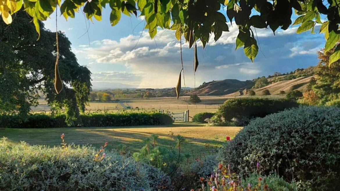 Hawke’s Bay Garden Affair to debut in November across 25 of the region’s gardens Hawke’s Bay Garden Affair to debut in November across 25 of the region’s gardens