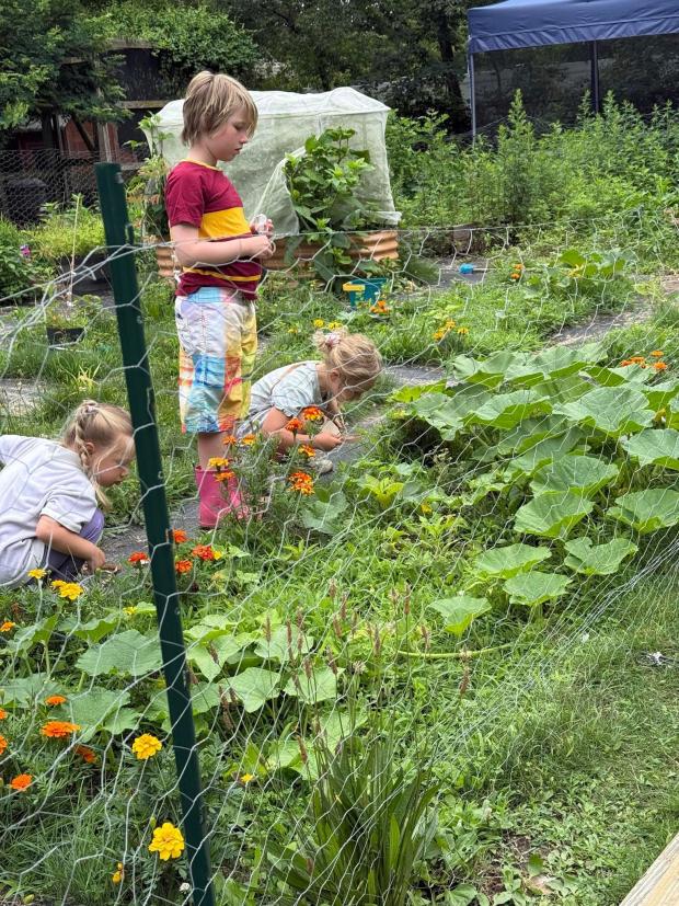 This 2025 image provided by Jessica Martin shows three children gardening in Islip Terrace, New York. (Jessica Martin via AP)