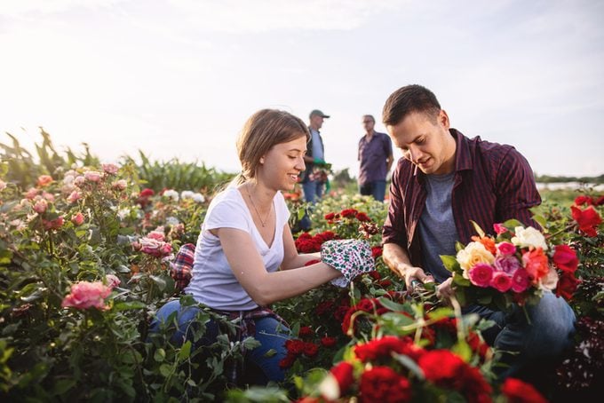Joyful couple learning how to make bouquets together