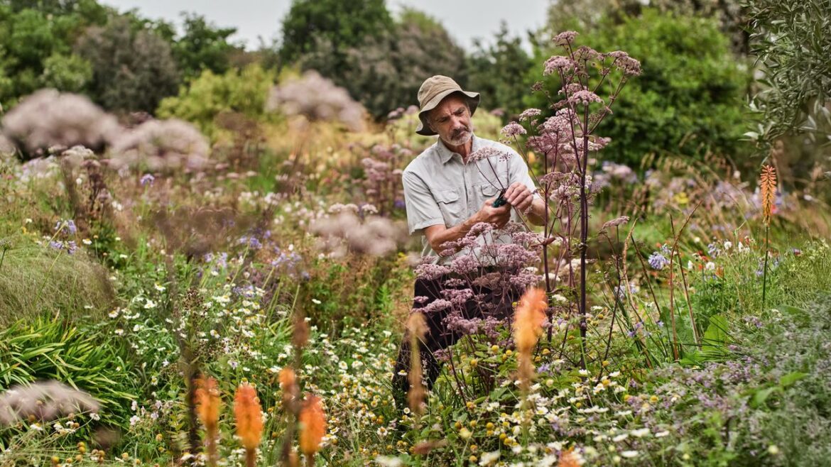 Inside a magical garden in Devon packed with hardy late-summer plants Inside a magical garden in Devon packed with hardy late-summer plants