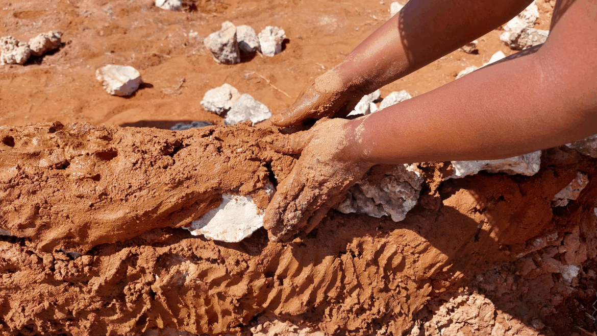 Meet Rural Futurisms, landscape architects with a difference Building the hut-lab in Makgobistad, a project by Rural Futurisms