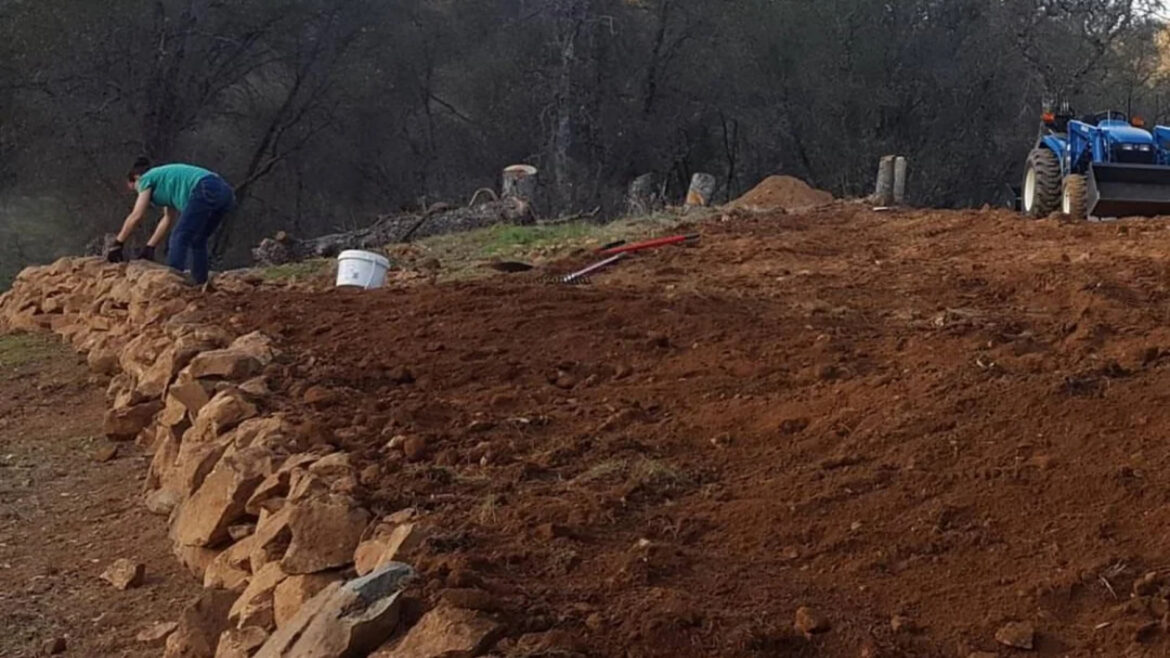 ‘Never had issues with pests’ "If you take the time to make your soil healthy, it will give back to you tenfold."