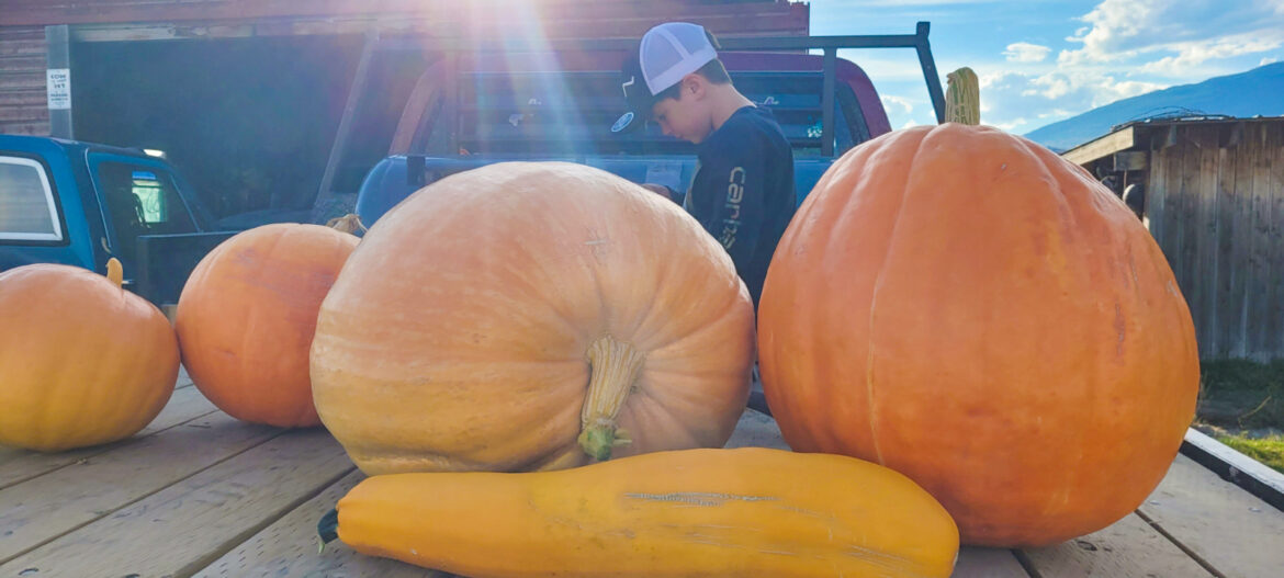 Canal Flats growers compete in contest