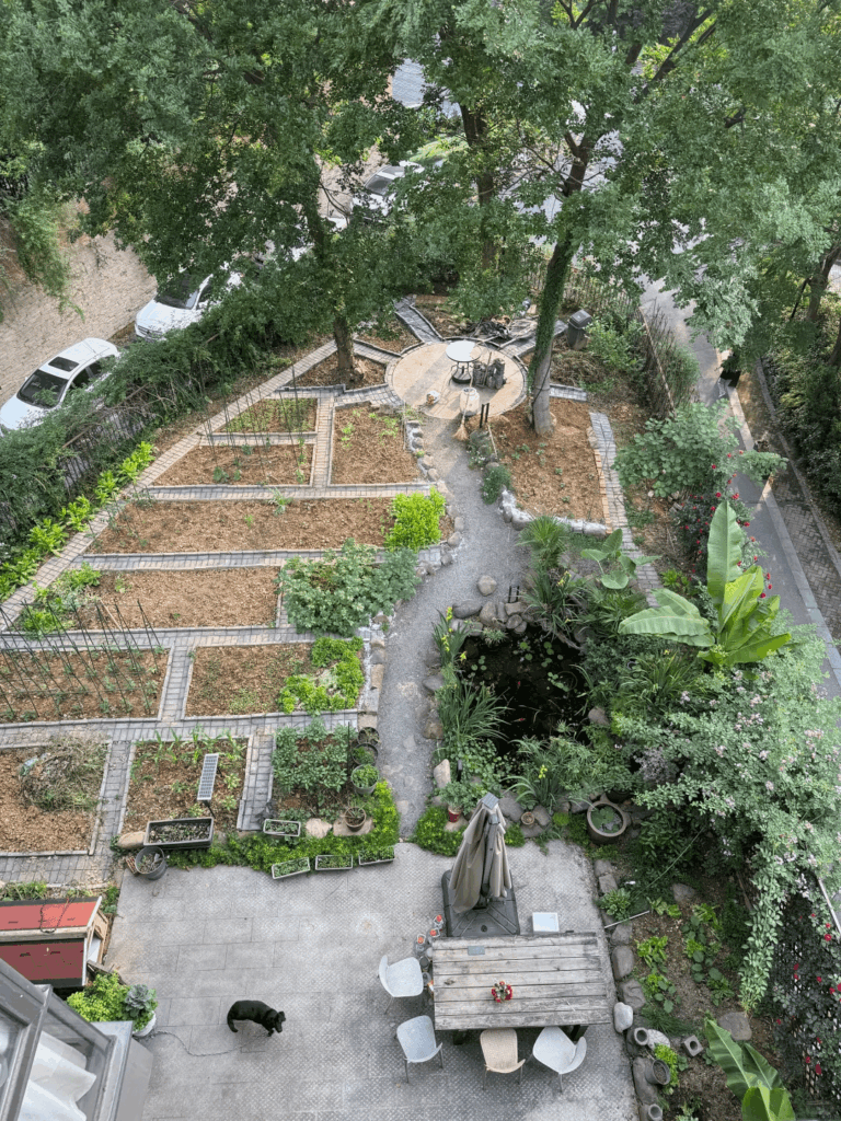 Just want to share with you my front yard garden Just want to share with you my front yard garden