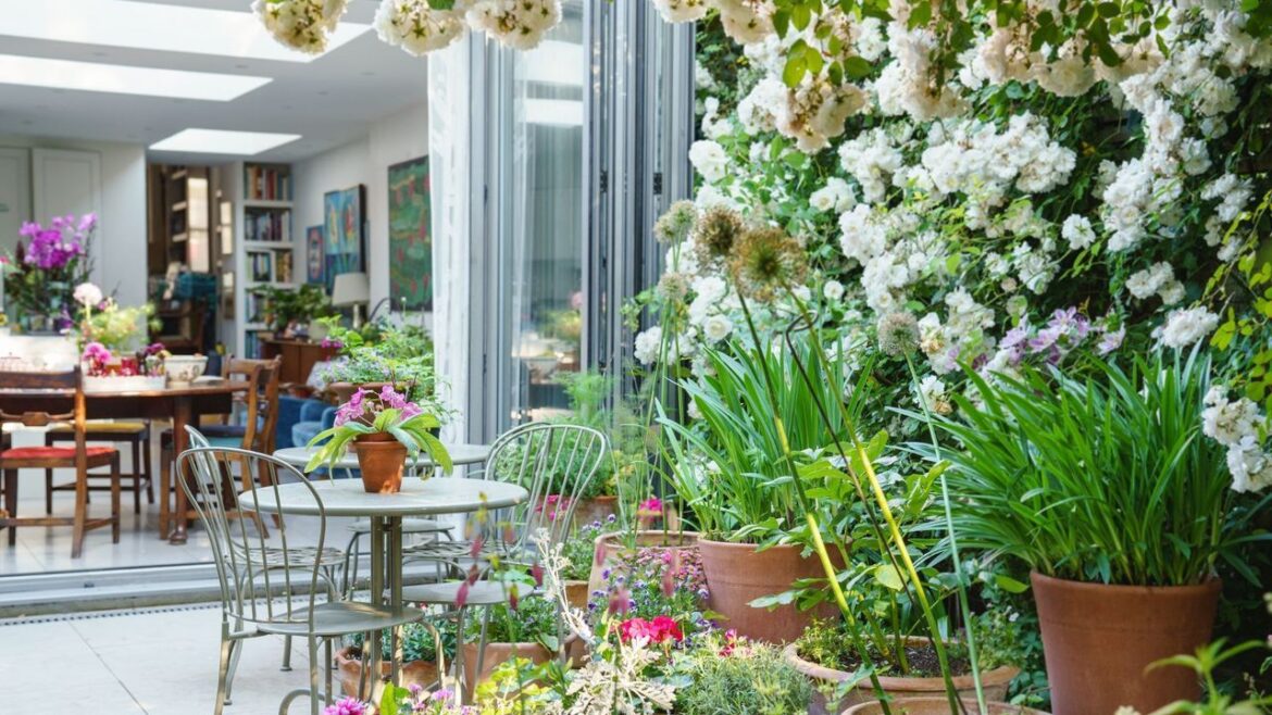 Explore a narrow London rose garden with all the… Explore a narrow London rose garden with all the…