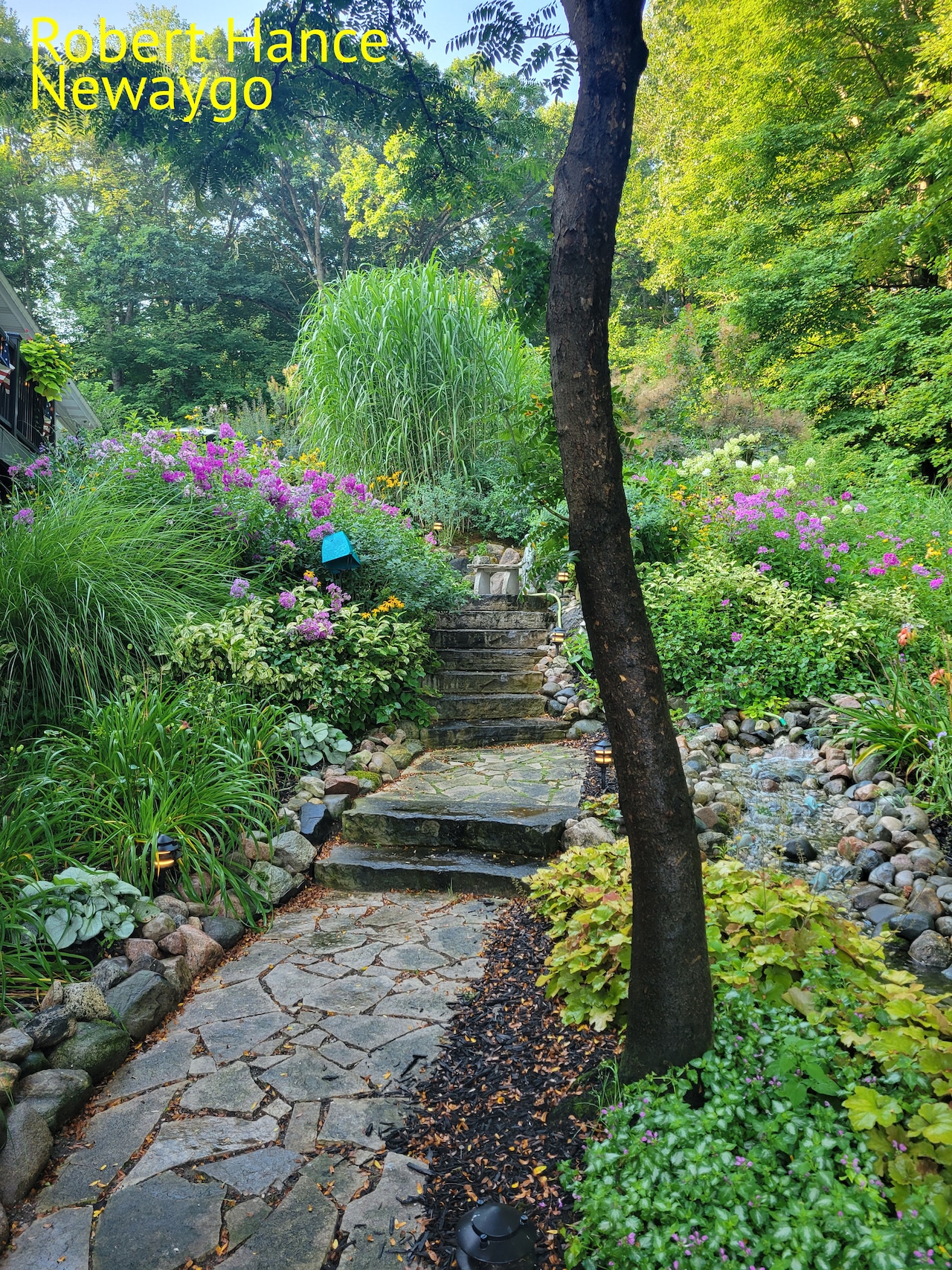 Flower Garden