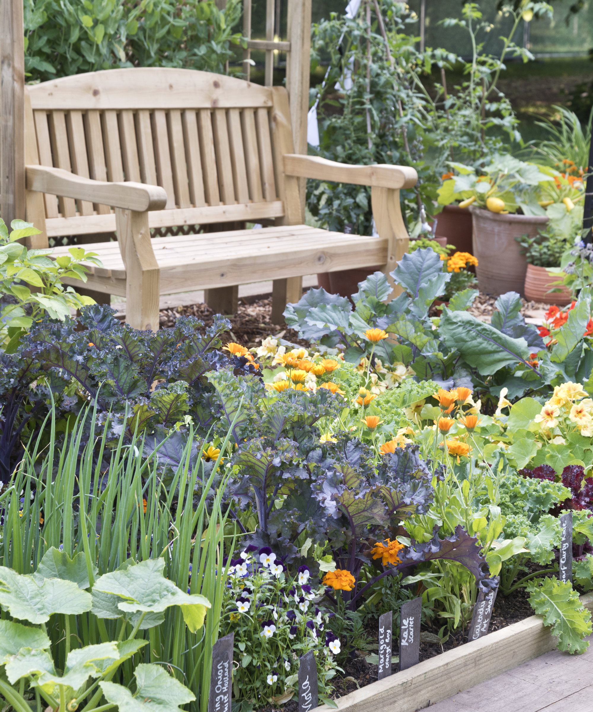 A wooden bench behind a raised bed filled with vegetables