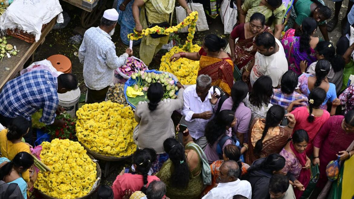No festive cheer for flower traders in Bengaluru as prices and supply take a hit No festive cheer for flower traders in Bengaluru as prices and supply take a hit
