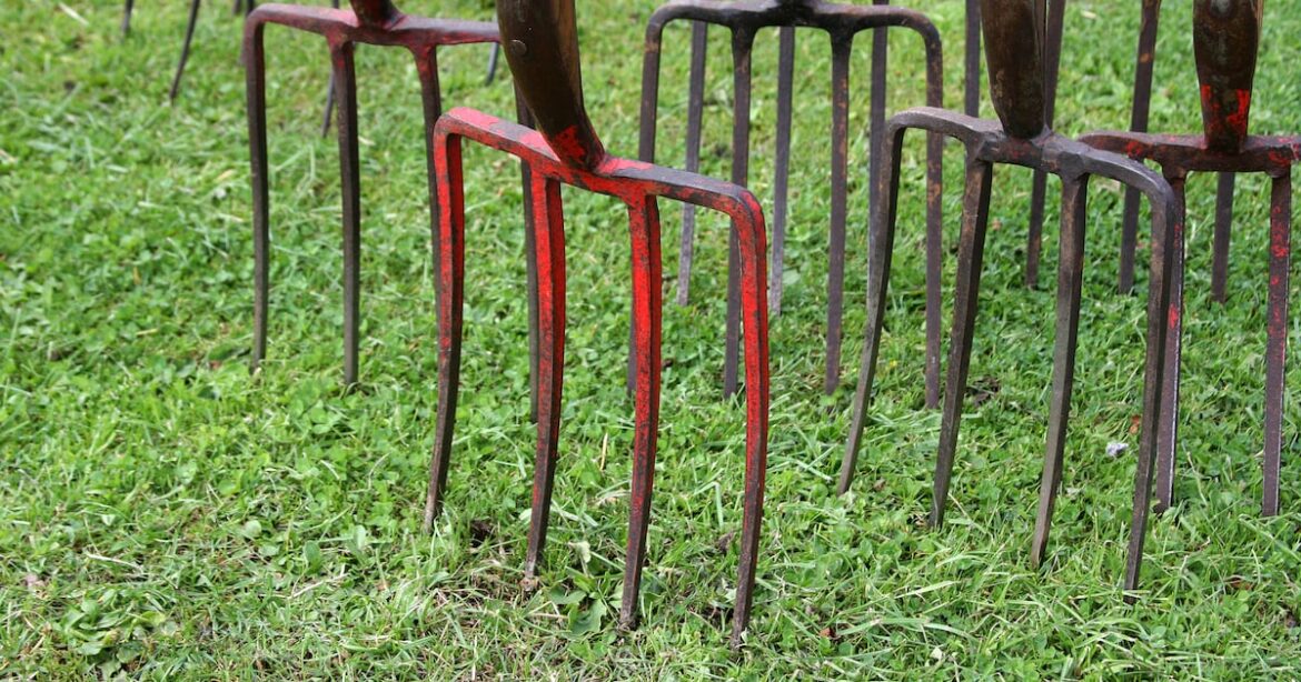 How gardeners can do their bit – The Irish News How gardeners can do their bit – The Irish News