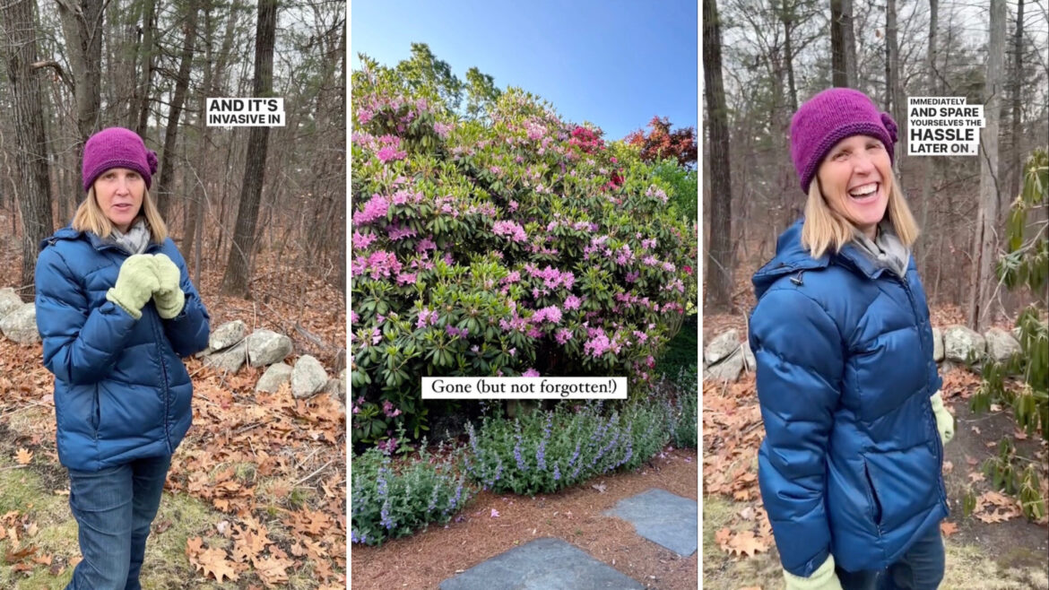 "I can't handle it anymore."