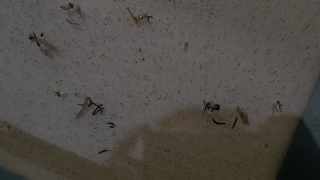 I went on vacation and… I went on vacation and...