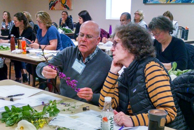 Trainees in the Marin Master Gardener program learn how to...