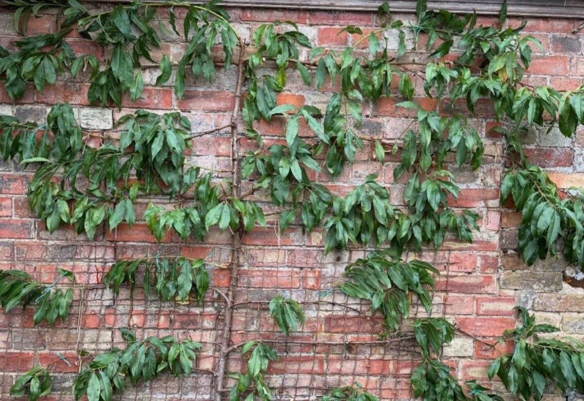 No need to be too fussy