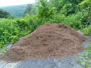 A large pile of mulch sits in front of tall plants