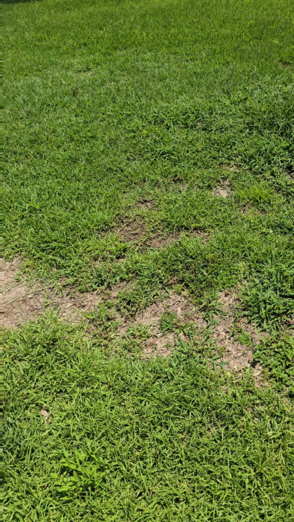 Is this a fair quote for lawn repair? Is this a fair quote for lawn repair?