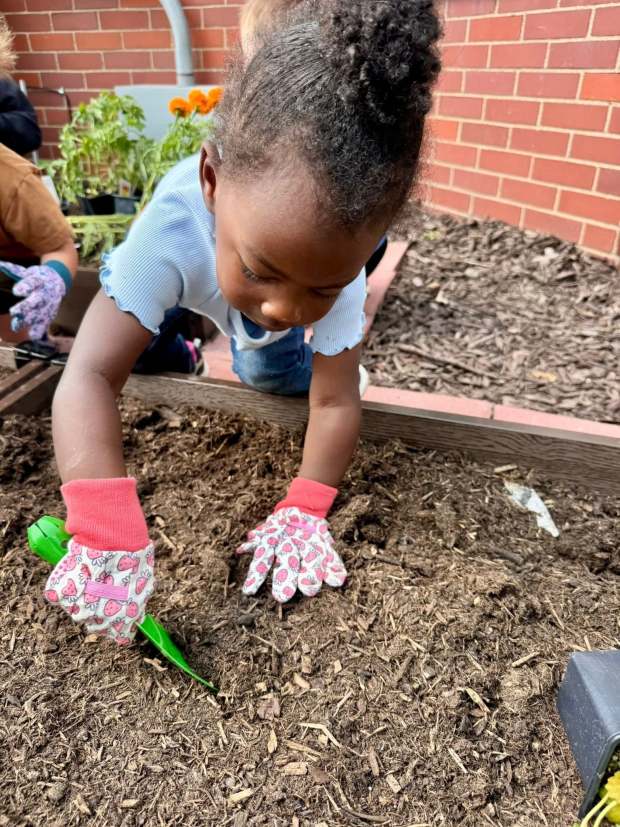 Kids Cottage garden