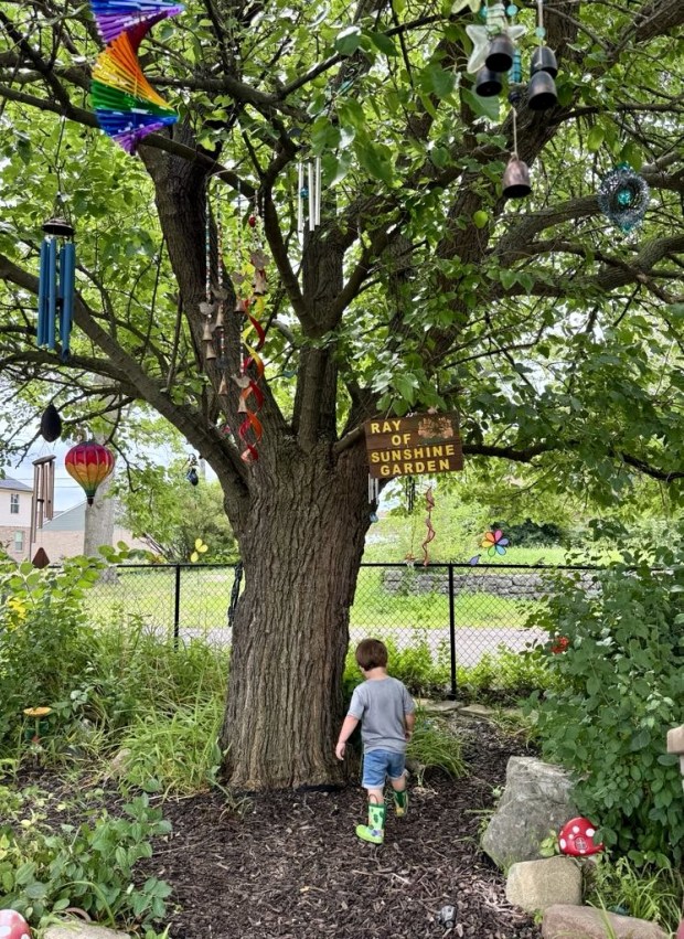 Kids Cottage garden
