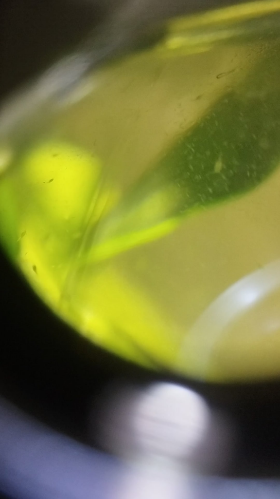 Day 5, life explosion or organic waste? Day 5, life explosion or organic waste?