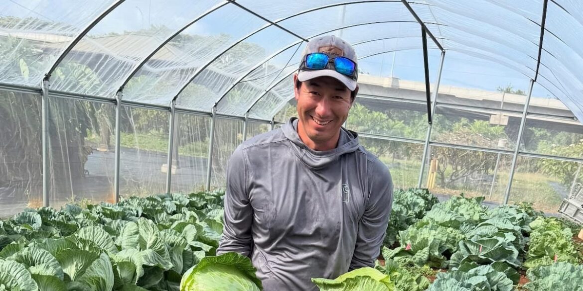 Produce partnership helps Hawaii families in need Produce partnership helps Hawaii families in need