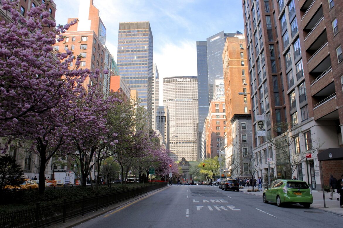 NYC taps landscape architect to reimagine Park Avenue