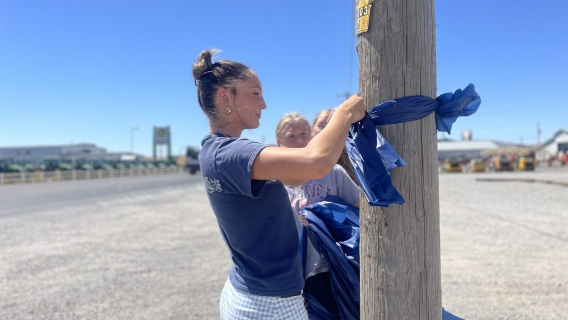 Bear River High School students tie blue ribbons on Main St....