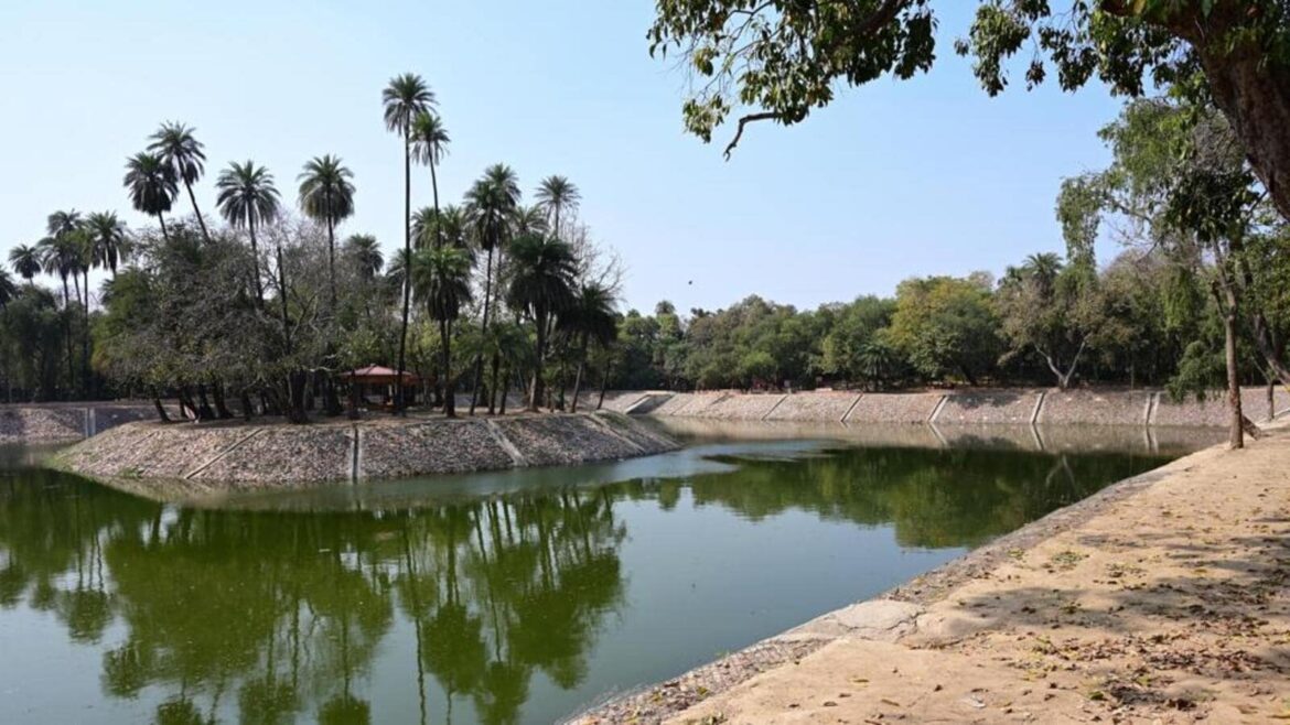 Delhi: School of gardening to open at Roshanara Bagh next month | Latest News Delhi