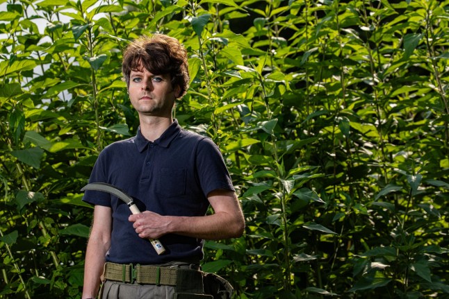 *** SUN OUT*** Samuel Rowe, 35, was arrested and kept in a cell last month after armed police accused him of carrying a ???large dagger??? on his way home from his allotment???s vegetable patch. The keen gardener, who lives in Manchester, had his ??32 Niwaki Hori Hori Japanese gardening trowel, ??10 Ice Bear gardener???s sickle, and a fruit harvesting tool taken from him by firearms officers on July 3 ??? after they were alerted in a call from a member of the public.A gardener was left traumatised after being arrested by armed police for "carrying a knife" while walking home with his gardening tools from the allotment.Samuel Rowe, 35, was detained, kept in a cell and cautioned by cops after they accused him of carrying a 'large dagger' last month.He had just tended to his allotment vegetable patch and was trimming the hedges outside his home with a sickle when armed police swooped on July 3.Samuel had his Japanese gardening trowel, a sickle and a fruit harvesting tool confiscated from him before being taken to a police station. Photo released 06/08/2025
