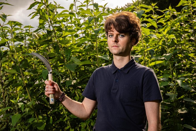 *** SUN OUT*** Samuel Rowe, 35, was arrested and kept in a cell last month after armed police accused him of carrying a ???large dagger??? on his way home from his allotment???s vegetable patch. The keen gardener, who lives in Manchester, had his ??32 Niwaki Hori Hori Japanese gardening trowel, ??10 Ice Bear gardener???s sickle, and a fruit harvesting tool taken from him by firearms officers on July 3 ??? after they were alerted in a call from a member of the public.A gardener was left traumatised after being arrested by armed police for "carrying a knife" while walking home with his gardening tools from the allotment.Samuel Rowe, 35, was detained, kept in a cell and cautioned by cops after they accused him of carrying a 'large dagger' last month.He had just tended to his allotment vegetable patch and was trimming the hedges outside his home with a sickle when armed police swooped on July 3.Samuel had his Japanese gardening trowel, a sickle and a fruit harvesting tool confiscated from him before being taken to a police station. Photo released 06/08/2025