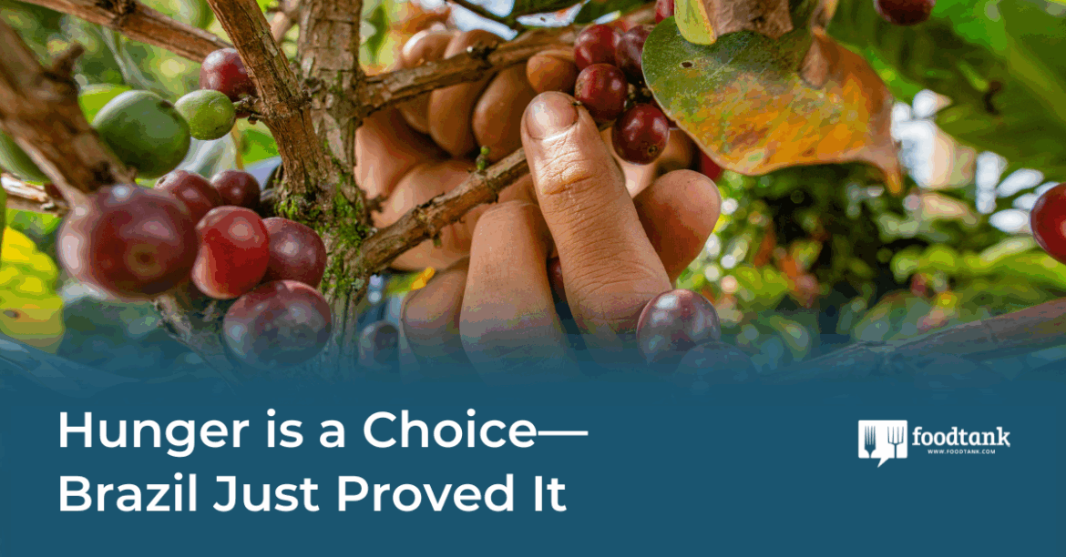 Hunger Is a Choice—Brazil Just Proved It – Food Tank Hunger Is a Choice—Brazil Just Proved It – Food Tank
