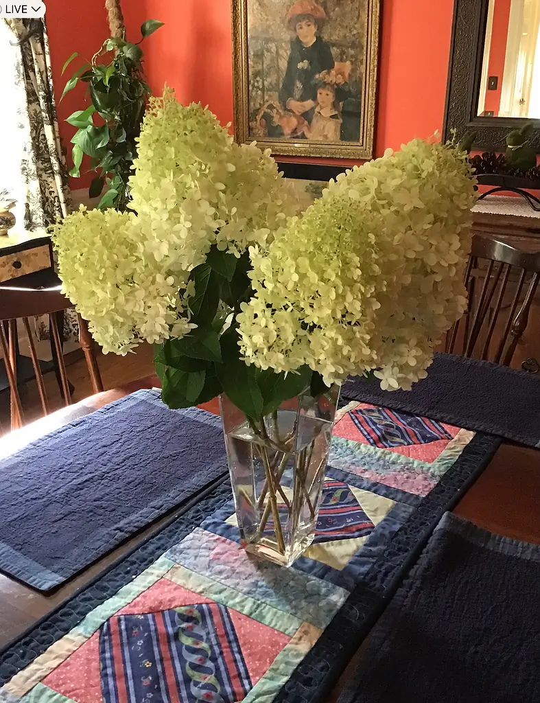 Some hydrangea paniculata arranged on a vase on Kerri’s table.