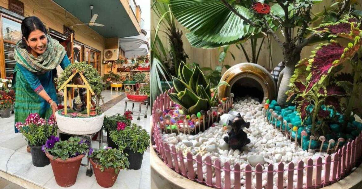 How a Faridabad Woman Turned Her Home Into a Mini Jungle With 1000 Tray Plants
