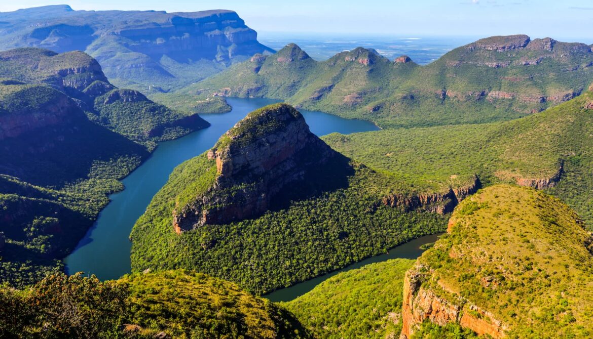 ‘More than a scientific milestone’ An expedition set out to rediscover the lost plant.