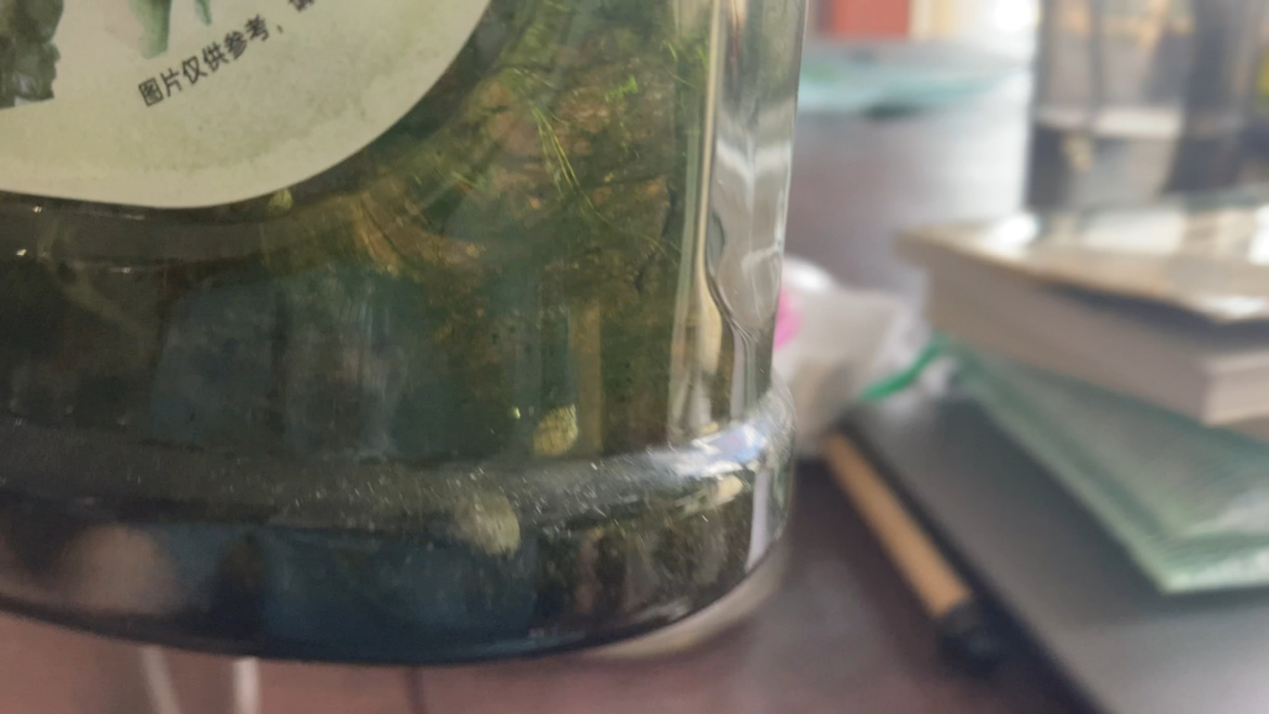 a million ostracods a million ostracods