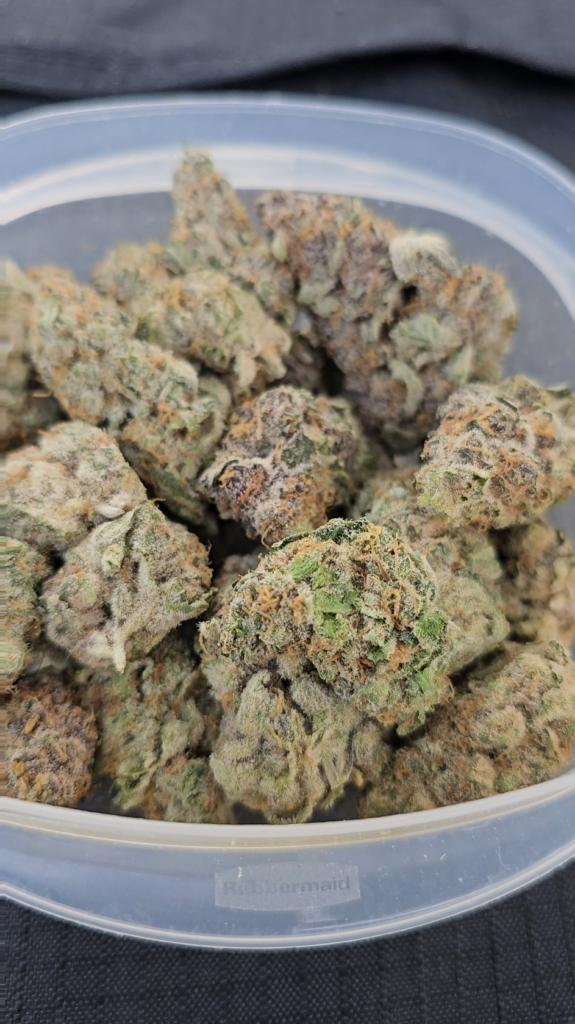 Rainbow Sherbet. Michigan grow