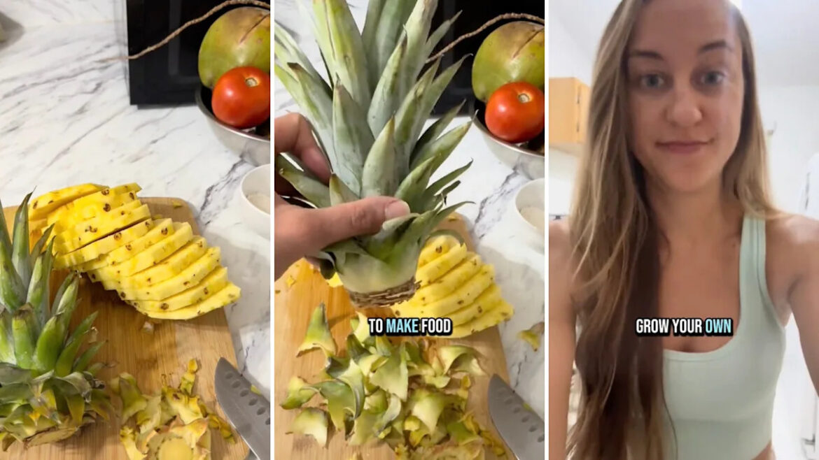 Gardener shares unbelievably simple method to grow seemingly endless supply of summer fruit: ‘This is so cool’ Yahoo lifestyle home