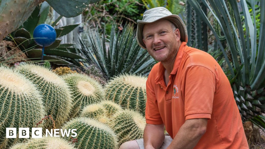 Kent exotic garden dreamt up during nine-month captivity Kent exotic garden dreamt up during nine-month captivity