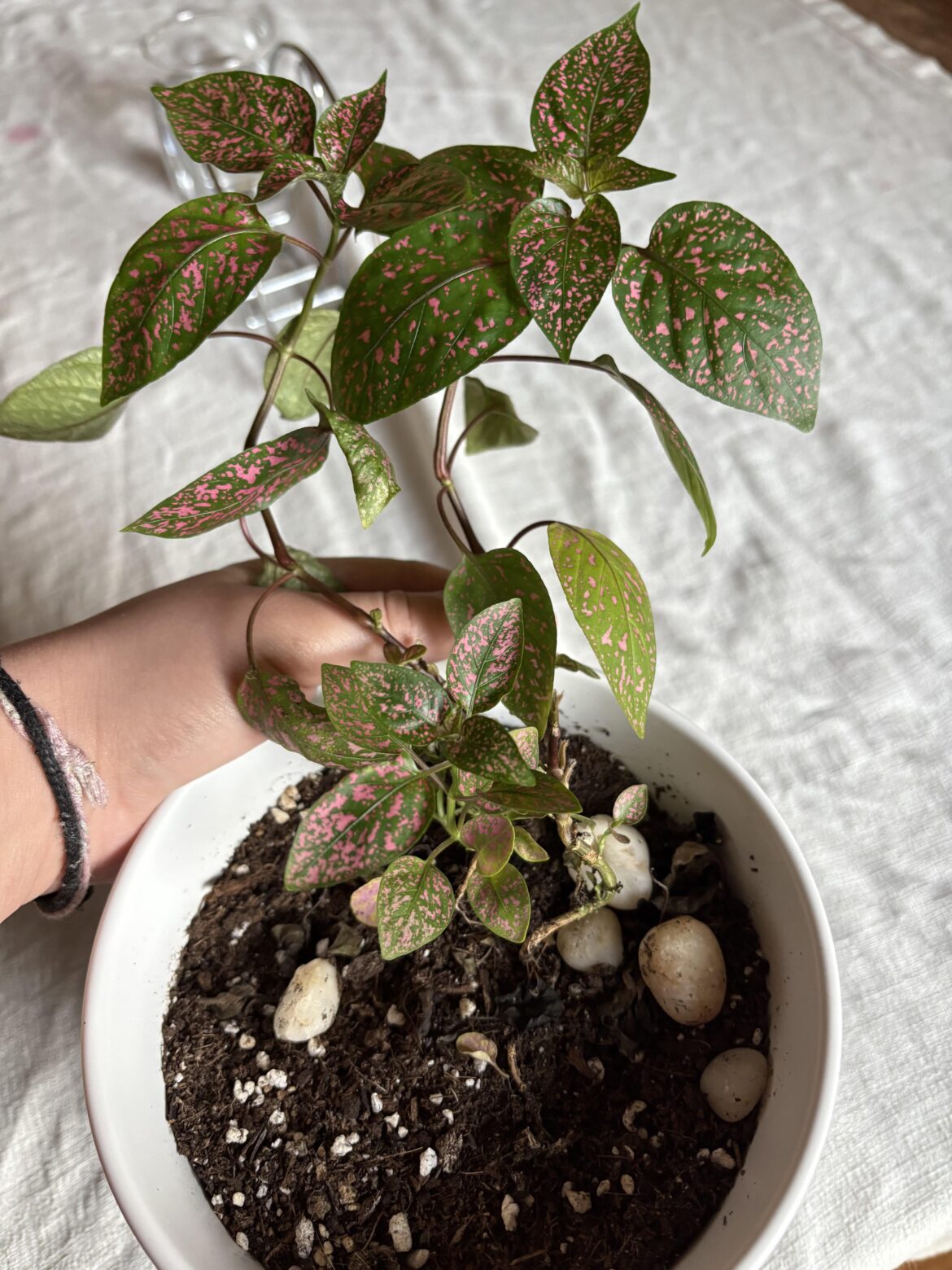 What do I do with this What do I do with this