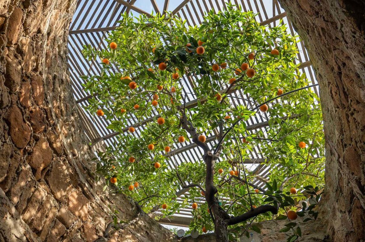 You Can Find an Underground Garden in California—and It Has Hand-carved Caves and Blooming Citrus Trees