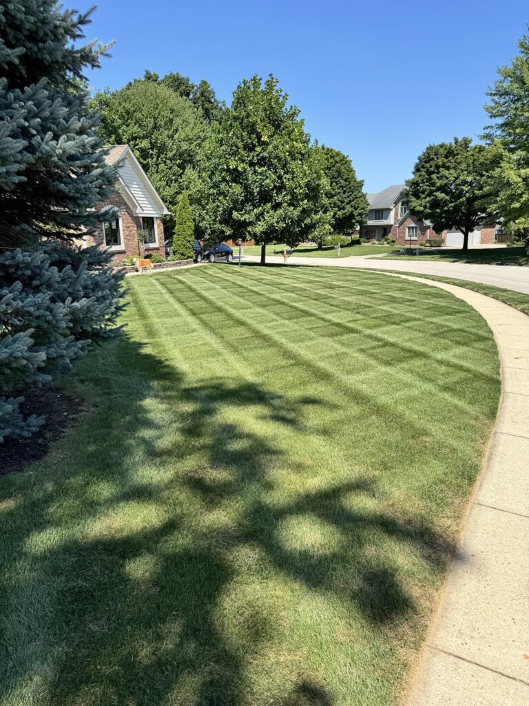 I just can’t get it right. I just can’t get it right.