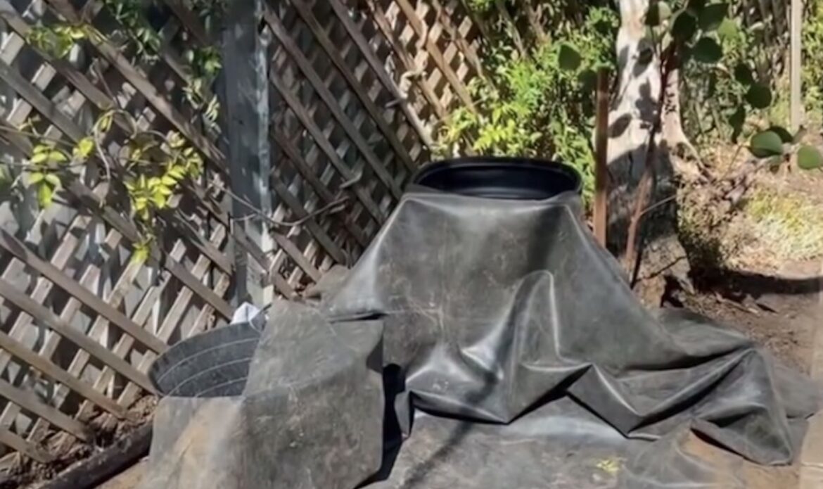 ‘110% better than a boring lawn’ "They told me to just put a lawn in."