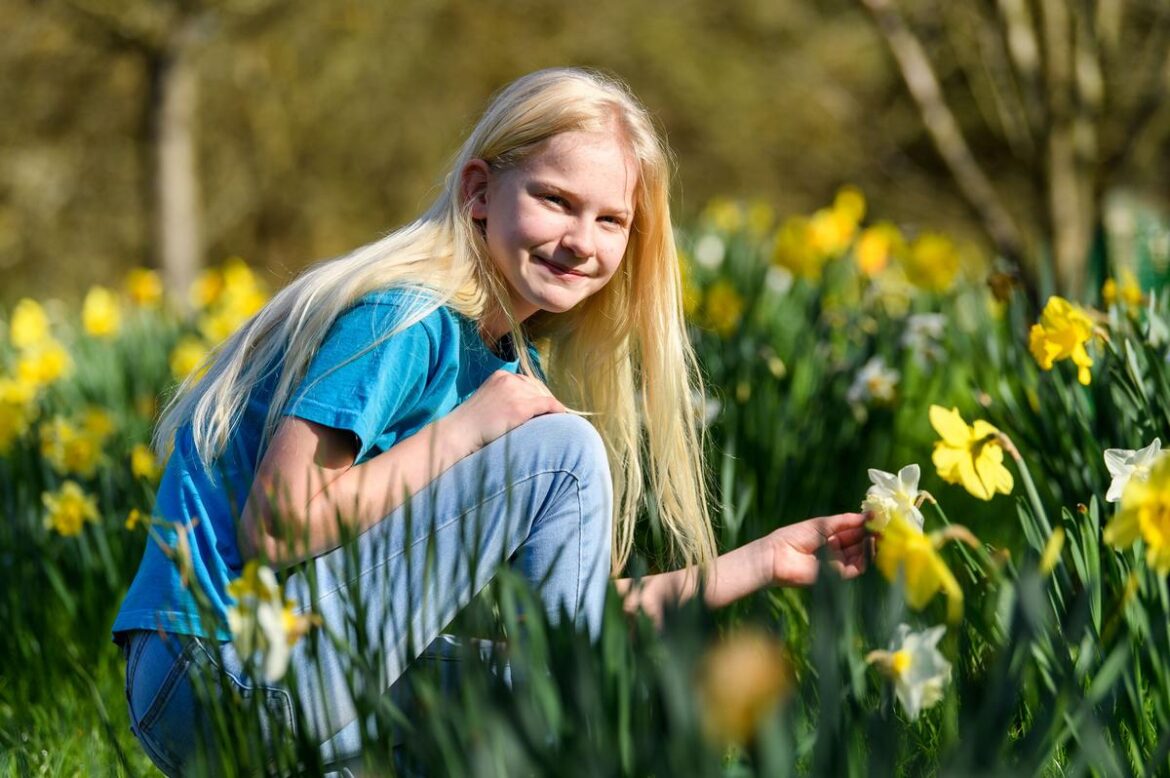 Free Gardening Events In Wenatchee For Local Gardeners Free Gardening Events In Wenatchee For Local Gardeners