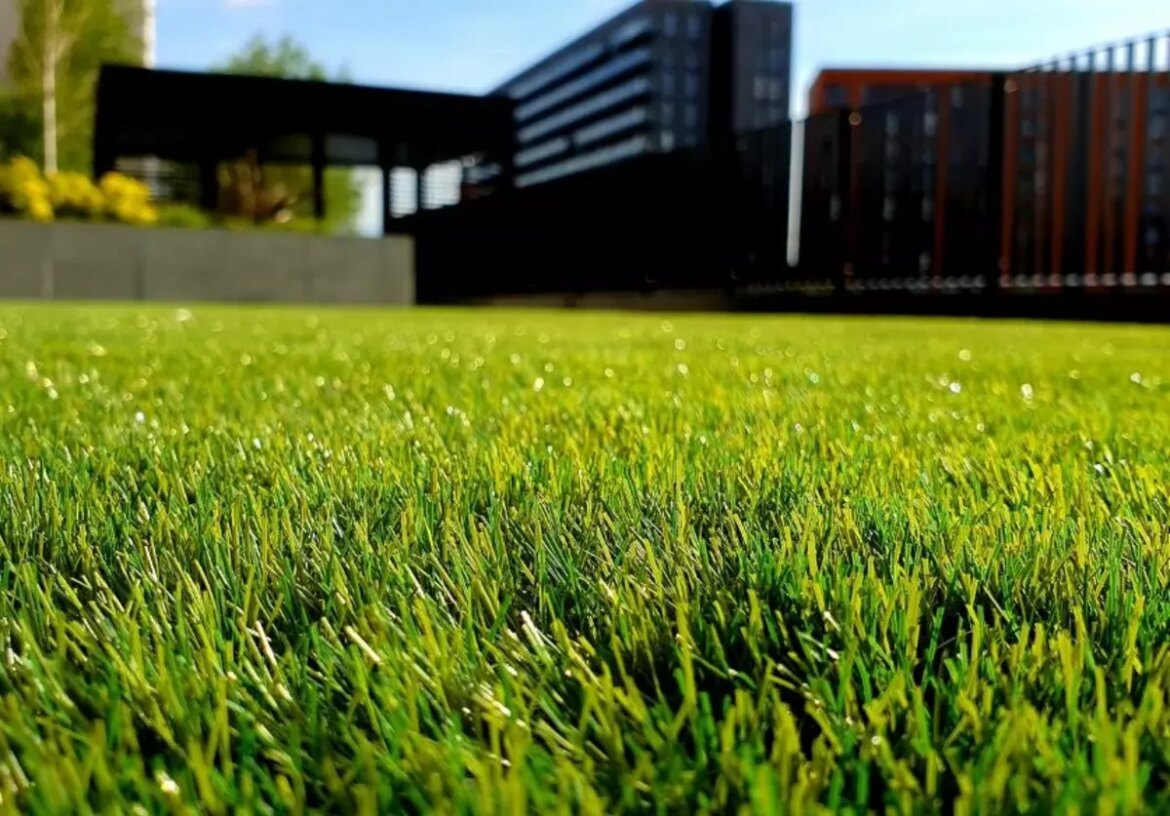 Your Minnesota Guide For a Great Lawn