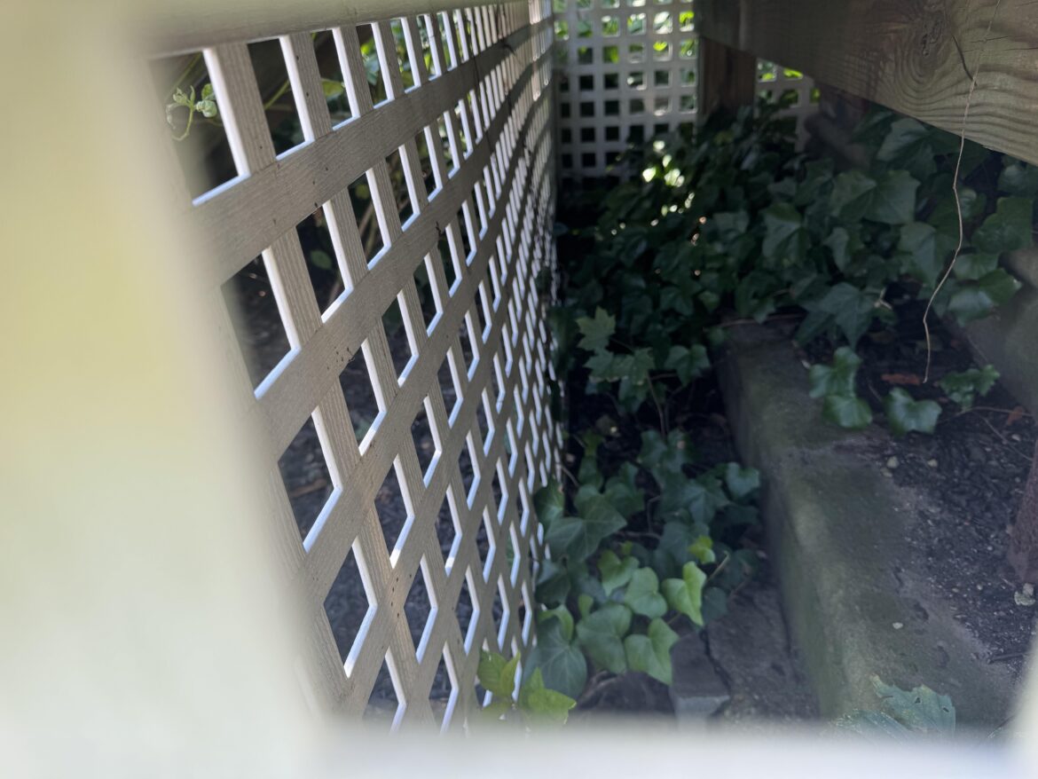 How to properly stop weeds from under the porch