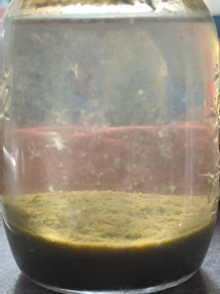 5 years old. Still loads of little critters but plants have died. 5 years old. Still loads of little critters but plants have died.