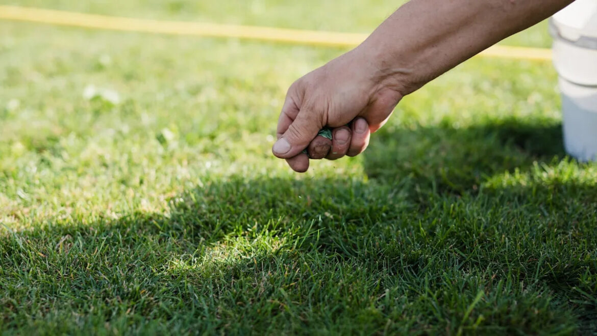 Gardener issues grave warning over hidden threat lurking in common products: ‘Please check’ Yahoo news home