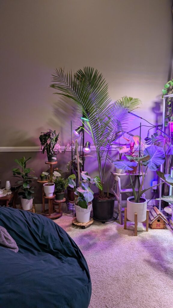 At what point do I get to say I have an indoor garden?