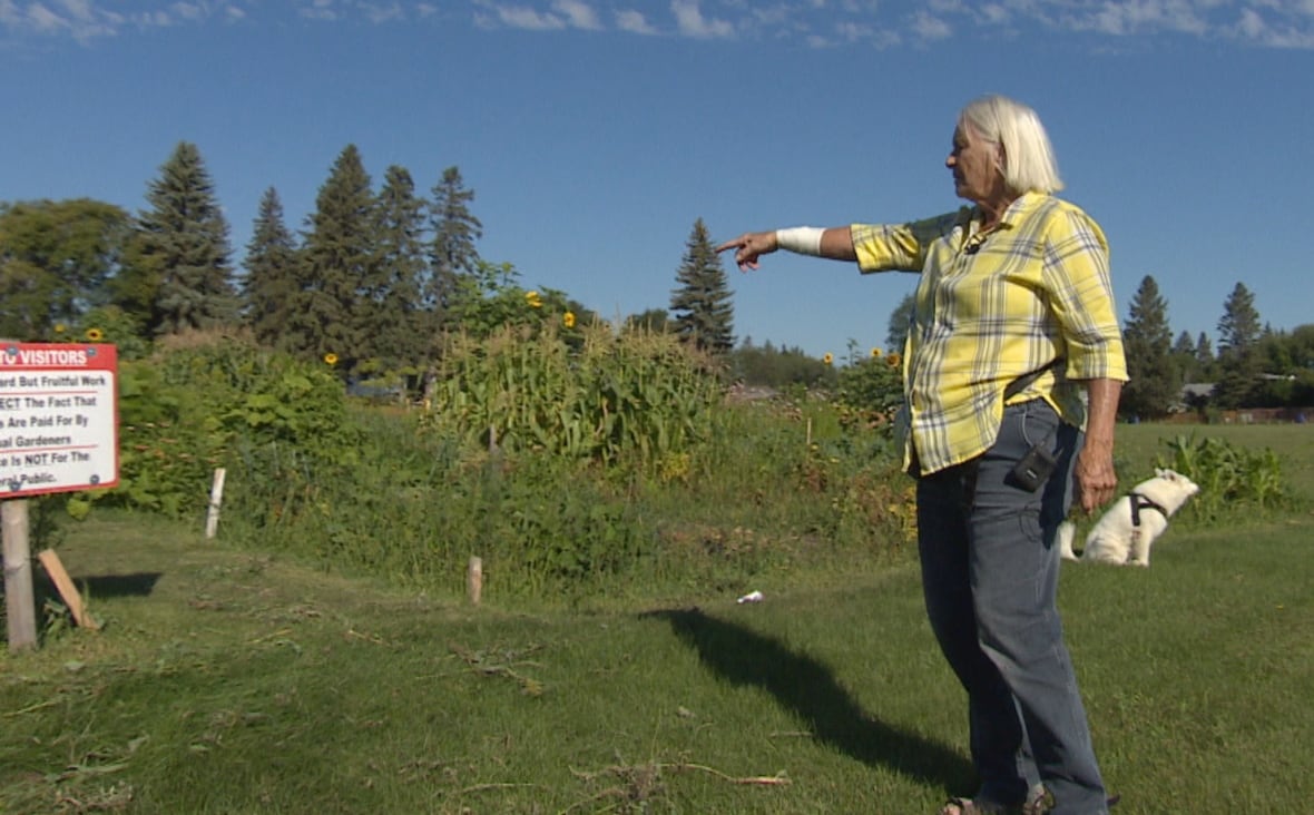 A white-haired woman points to a spot in a garden, with a white dog behind her. 